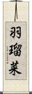 羽瑠菜 Scroll