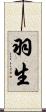 羽生 Scroll