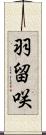 羽留咲 Scroll