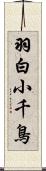 羽白小千鳥 Scroll