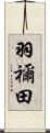 羽禰田 Scroll
