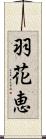 羽花恵 Scroll