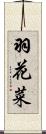 羽花菜 Scroll