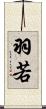 羽若 Scroll