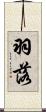 羽落 Scroll