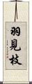 羽見枝 Scroll