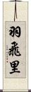 羽飛里 Scroll