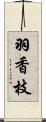 羽香枝 Scroll