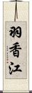 羽香江 Scroll