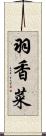 羽香菜 Scroll