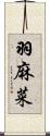 羽麻菜 Scroll