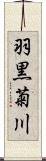 羽黒菊川 Scroll