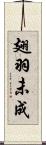 翅羽未成 Scroll