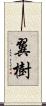 翼樹 Scroll