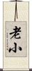 老小 Scroll