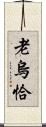 老烏恰 Scroll