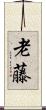 老藤 Scroll