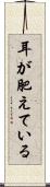 耳が肥えている Scroll
