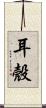 耳殼 Scroll