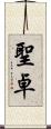 聖卓 Scroll