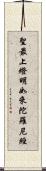 聖最上燈明如來陀羅尼經 Scroll