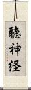 聴神経 Scroll