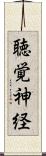 聴覚神経 Scroll
