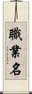 職業名 Scroll