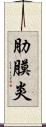 肋膜炎 Scroll