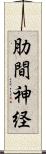 肋間神経 Scroll