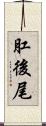 肛後尾 Scroll