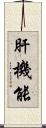 肝機能 Scroll