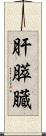 肝膵臓 Scroll