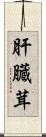 肝臓茸 Scroll