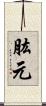 肱元 Scroll