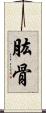 肱骨 Scroll