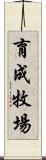 育成牧場 Scroll