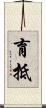 育抵 Scroll