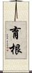 育根 Scroll