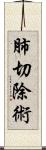 肺切除術 Scroll