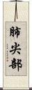 肺尖部 Scroll