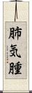 肺気腫 Scroll