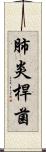 肺炎桿菌 Scroll