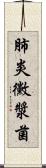 肺炎黴漿菌 Scroll
