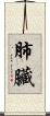 肺臟 Scroll