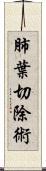 肺葉切除術 Scroll