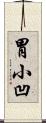 胃小凹 Scroll