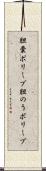 胆嚢ポリープ Scroll