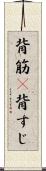 背筋(P) Scroll