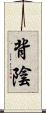 背陰 Scroll